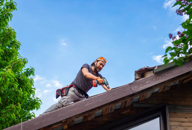 Best Solar Panel Roofing Installation  in West Orange, TX